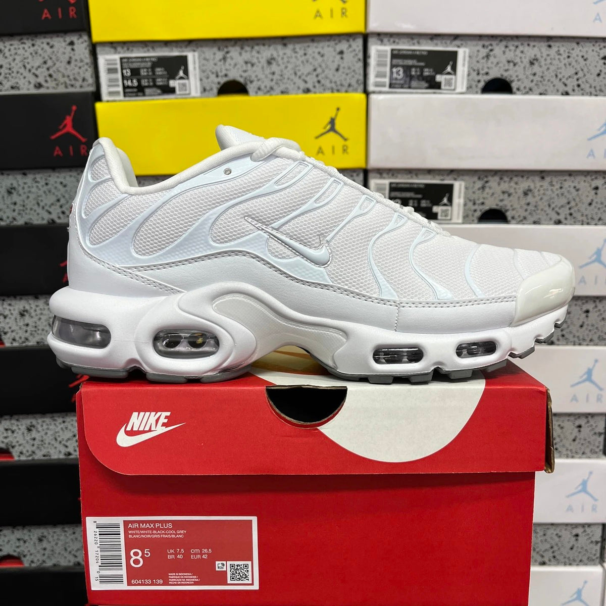 Air Max Plus (TN's)