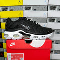 Air Max Plus (TN's)