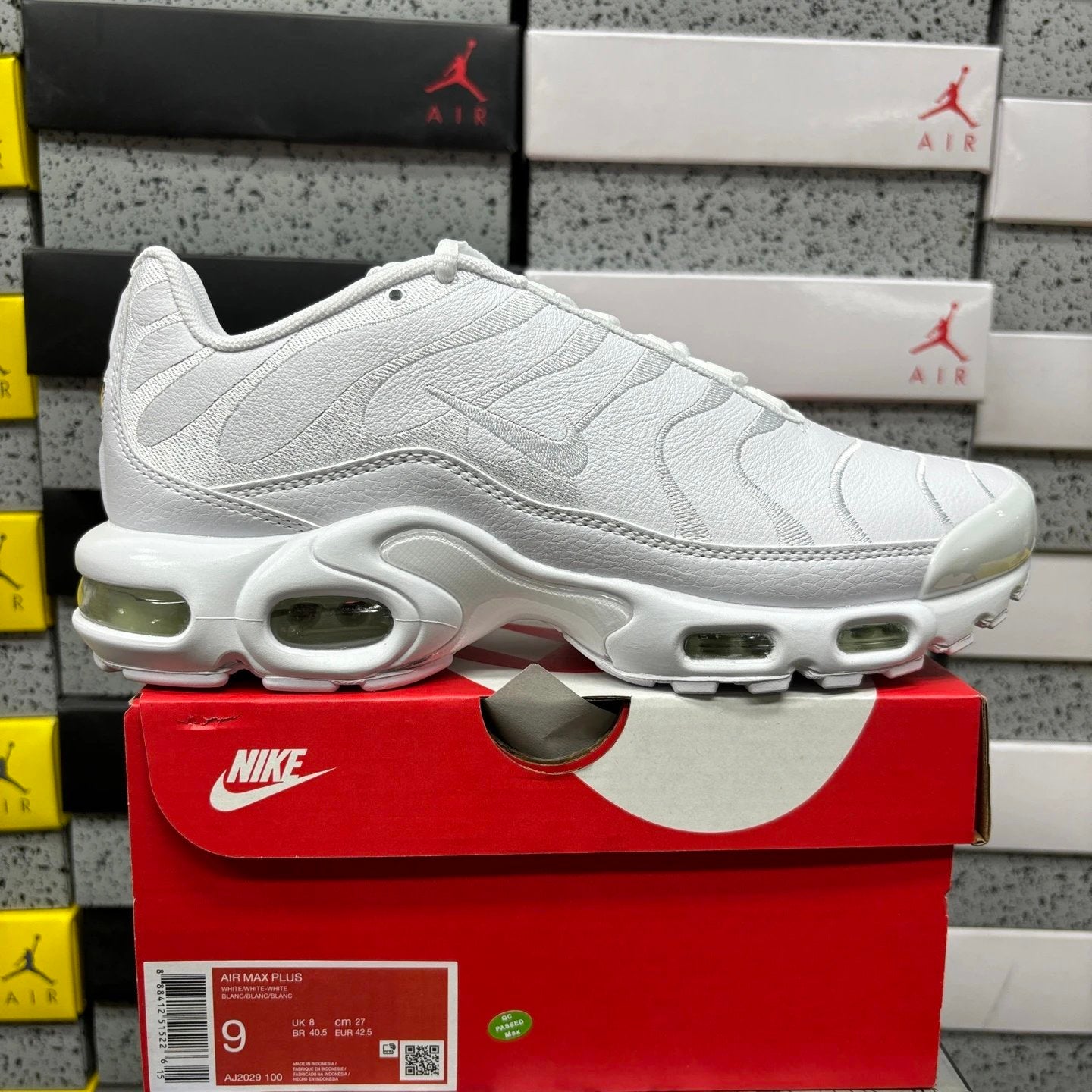 Air Max Plus (TN's)