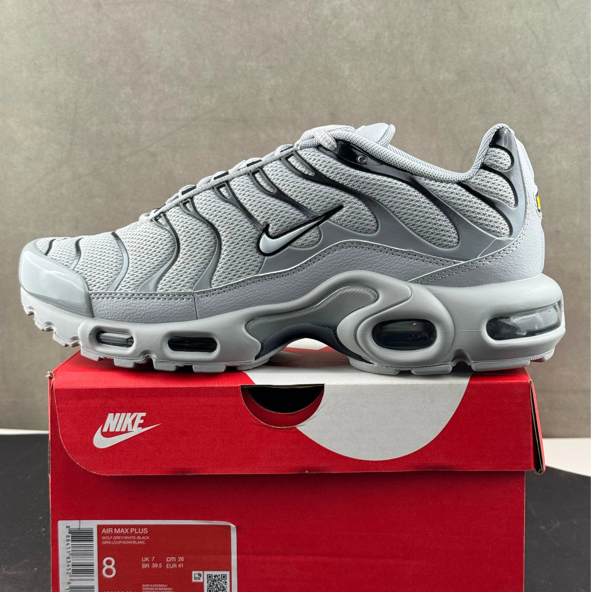 Air Max Plus (TN's)