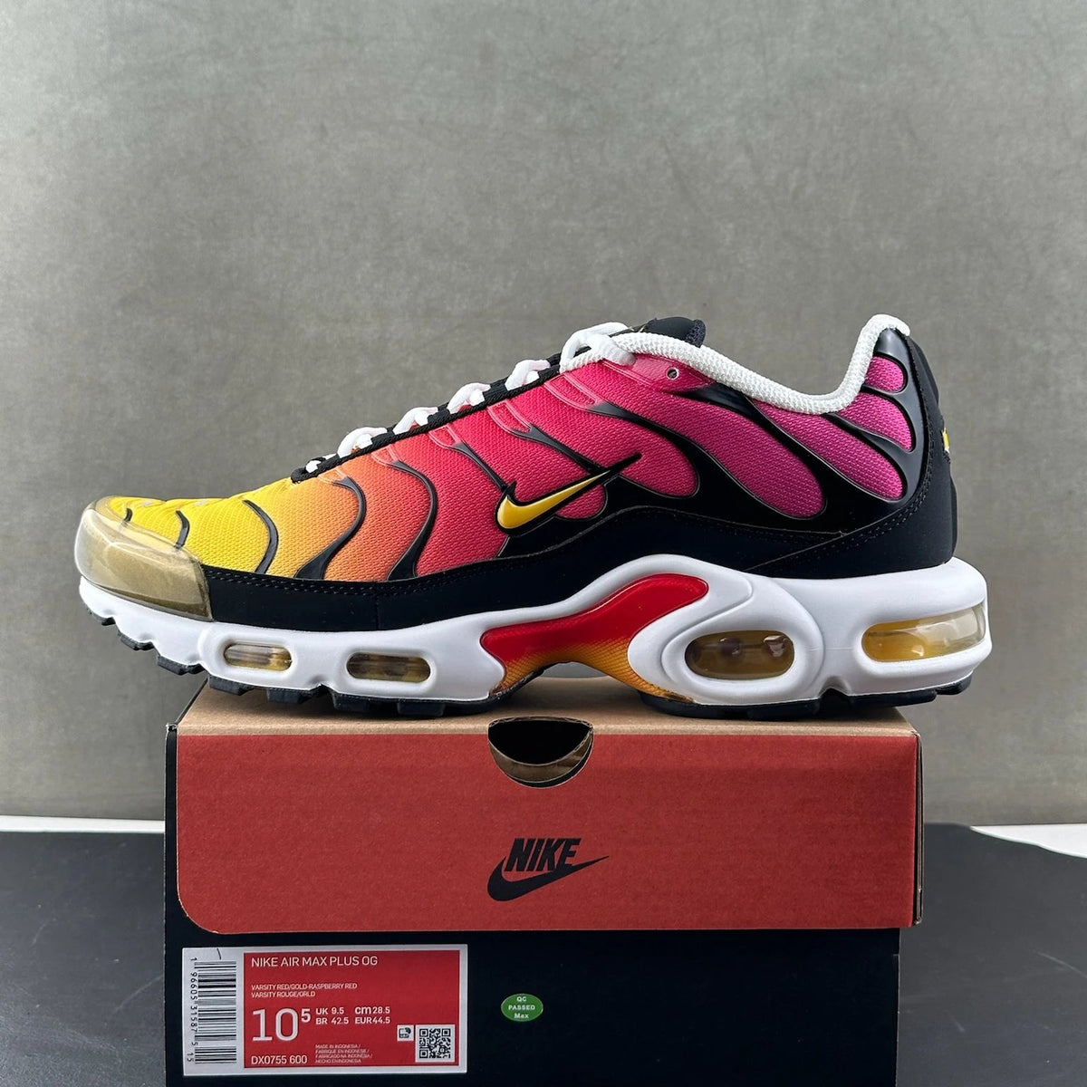 Air Max Plus (TN's)